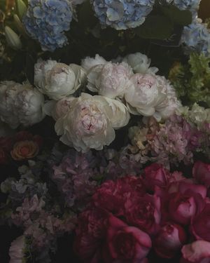 Image post by @centeredbydesign on Instagram