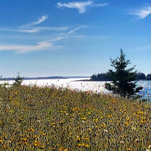 Image post by @andyfillmorehfx on Instagram