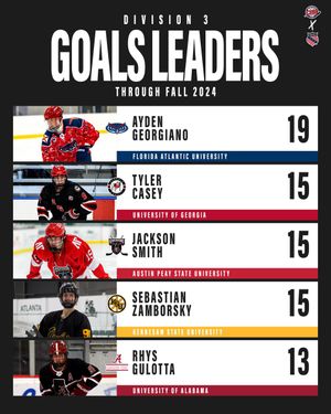 Image post by @CollegeHkySouth on Twitter