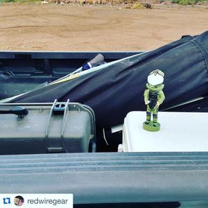 Image post by @seahorsecases on Instagram