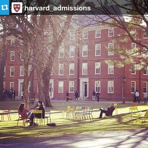 Image post by @harvard on Instagram