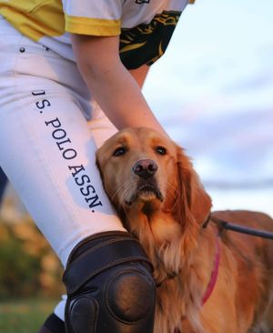 Image post by @uspoloassn on Instagram