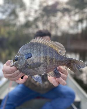Image post by @leo_outdoors on Instagram