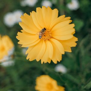 Image post by @honibe on Instagram