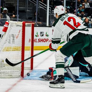 Image post by @minnesotawild on Instagram