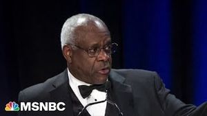 Video post by @msnbc on YouTube