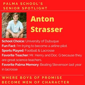 Image post by @palma_school on Instagram