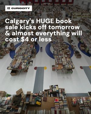 Image post by @curiocitycalgary on Instagram