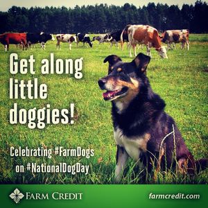 Image post by @farmcredit on Instagram