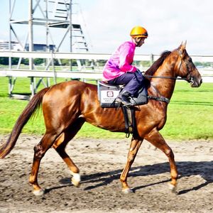 Image post by @australianturfclub on Instagram