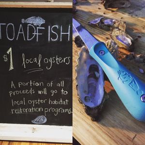 Image post by @toadfishoutfitters on Instagram