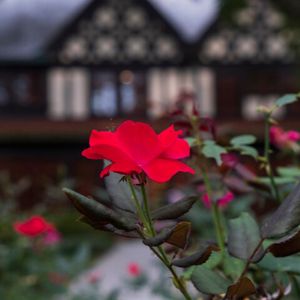 Image post by @loyolamaryland on Instagram