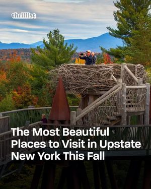 Image post by @thrillist on Instagram