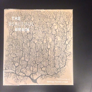 Image post by @drawingcenter on Instagram