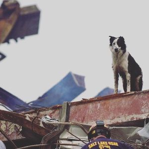 Image post by @ropethemoon on Instagram