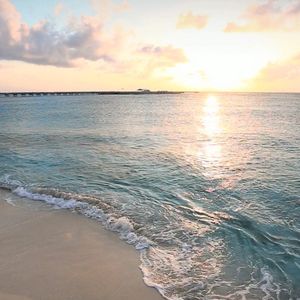 Image post by @hiltonhotels on Instagram
