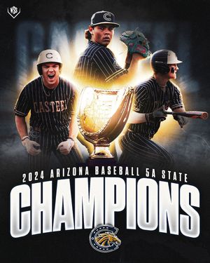 Image post by @wsshomeplate on Instagram