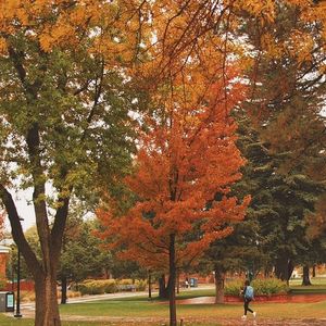 Image post by @nauflagstaff on Instagram