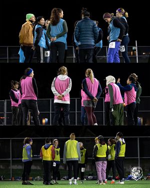 Image post by @seattle_tempest on Instagram