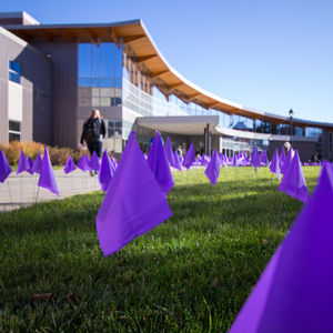 Image post by @uw_superior on Instagram