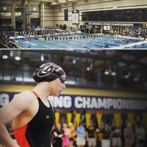 Image post by @ugaswimdive on Instagram