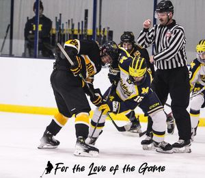 Image post by @fortheloveofthegame33 on Instagram