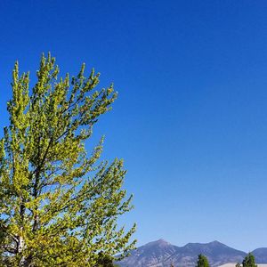Image post by @nauflagstaff on Instagram