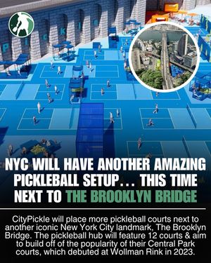 Image post by @thepickleballclinic on Instagram