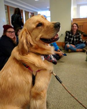 Image post by @uofnh on Instagram