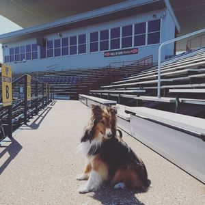 Image post by @burlington_bees on Instagram