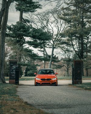 Image post by @mo_steve on Instagram