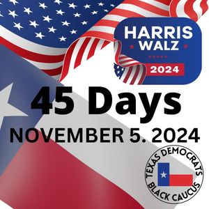 Image post by @txblackdems on Instagram
