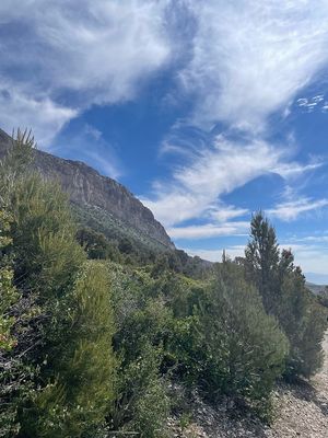 Image post by @zeetabody on Instagram