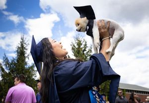 Image post by @quinnipiacu on Instagram