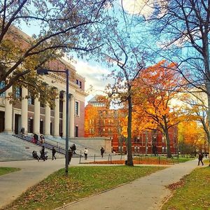 Image post by @harvard on Instagram