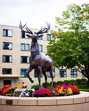 Image post by @fairfieldu on Instagram