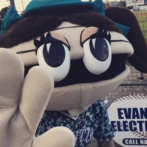 Image post by @cplbaseball on Instagram