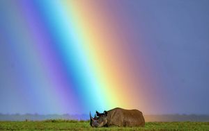 Image post by @natgeo on Instagram