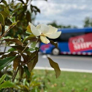 Image post by @shippensburgu on Instagram