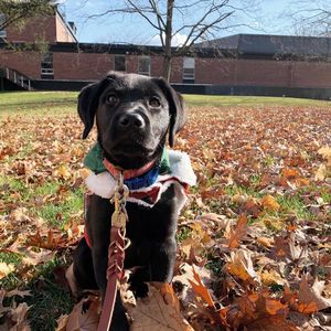 Image post by @rutgersnb on Instagram