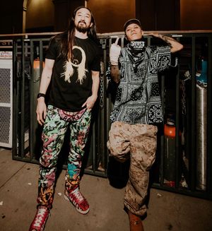 Image post by @steveaoki on Instagram
