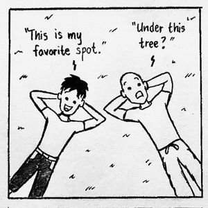 Image post by @teamtrees on Instagram