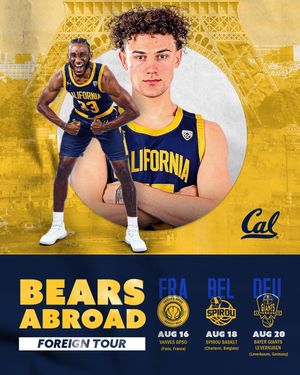 Image post by @calmbball on Instagram