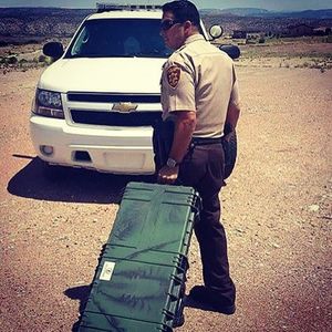 Image post by @seahorsecases on Instagram