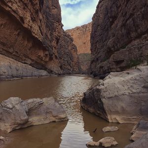 Image post by @creative_moxie on Instagram