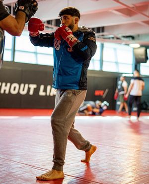 Image post by @ufcpi on Instagram