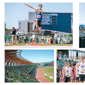 Image post by @peterrdvs on Instagram