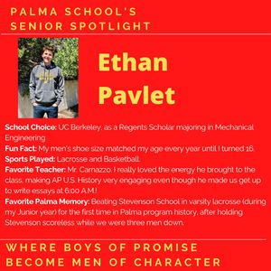 Image post by @palma_school on Instagram