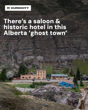 Image post by @curiocitycalgary on Instagram