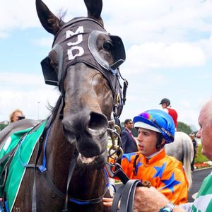 Image post by @australianturfclub on Instagram